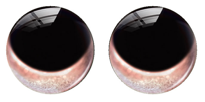 Olhos de Brinquedo Redondos Ar - Art Craft Handmade avaliação e preço