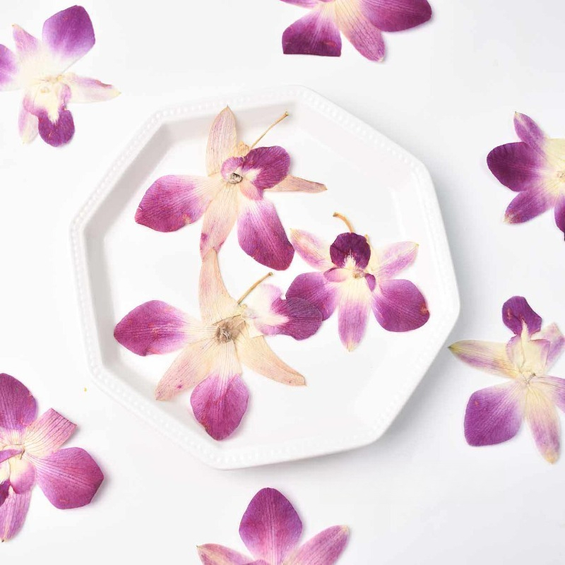 4 peças, Flores de Orquídea Bo - Art And Craft Photos avaliação e preço
