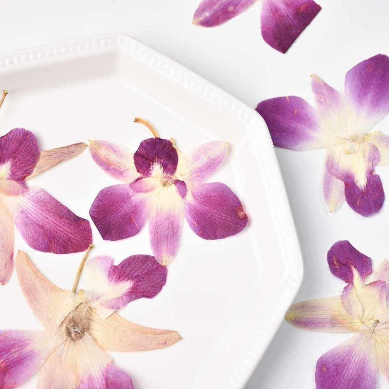 4 peças, Flores de Orquídea Bo - Art And Craft Photos avaliação e preço