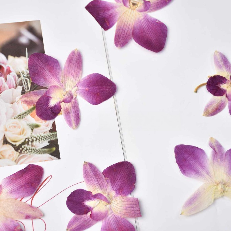 4 peças, Flores de Orquídea Bo - Art And Craft Photos avaliação e preço