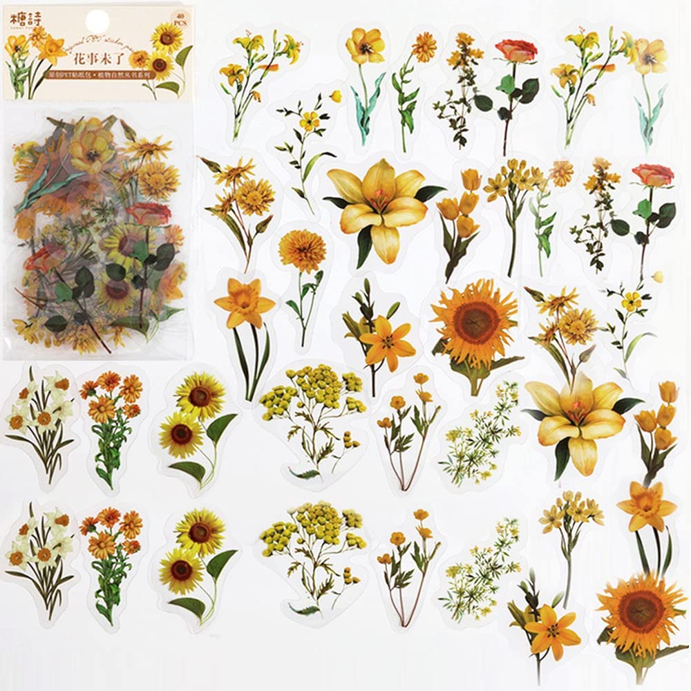 40 pçs scrapbook adesivos pet  - Art And Craft Photos avaliação e preço