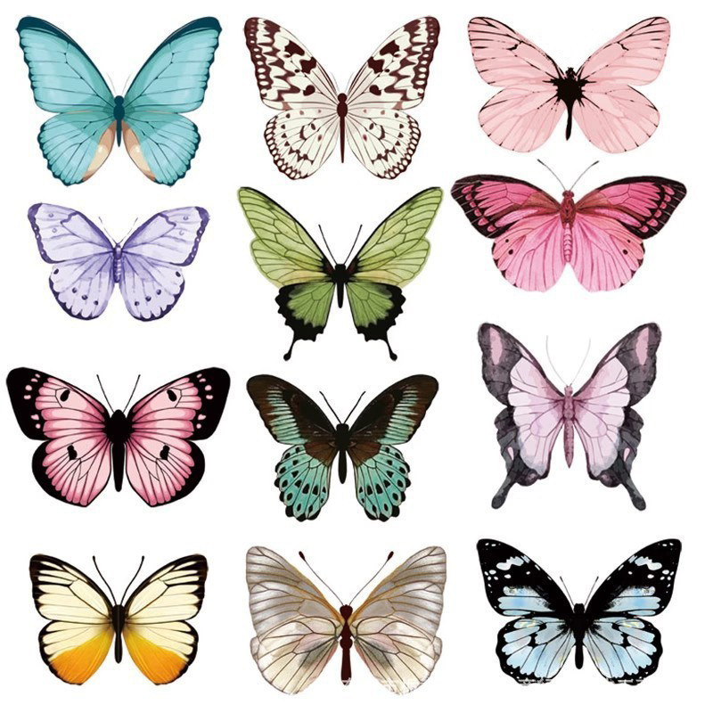 12 pçs 3d borboleta adesivos d - Art Craft Birthday Party avaliação e preço